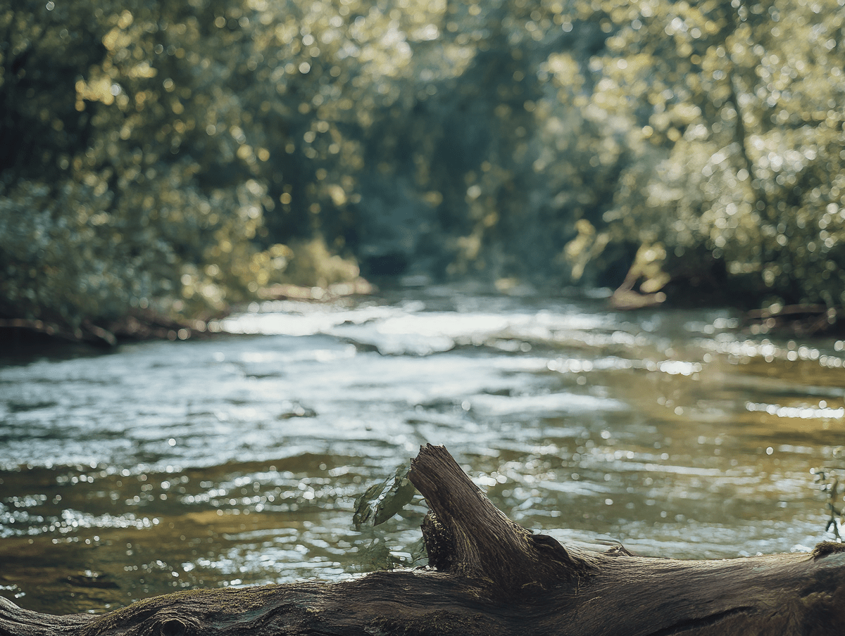 The Road to River Road Clothing