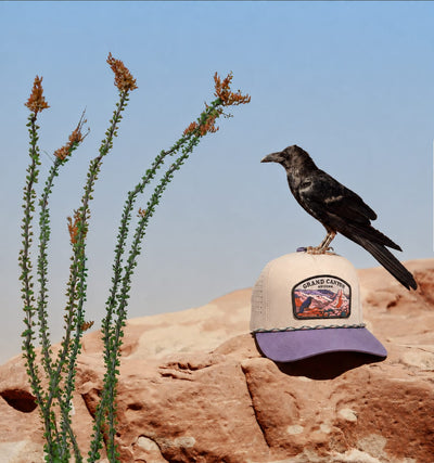 RIVER ROAD CLOTHING Hats Grand Canyon Snapback Hat